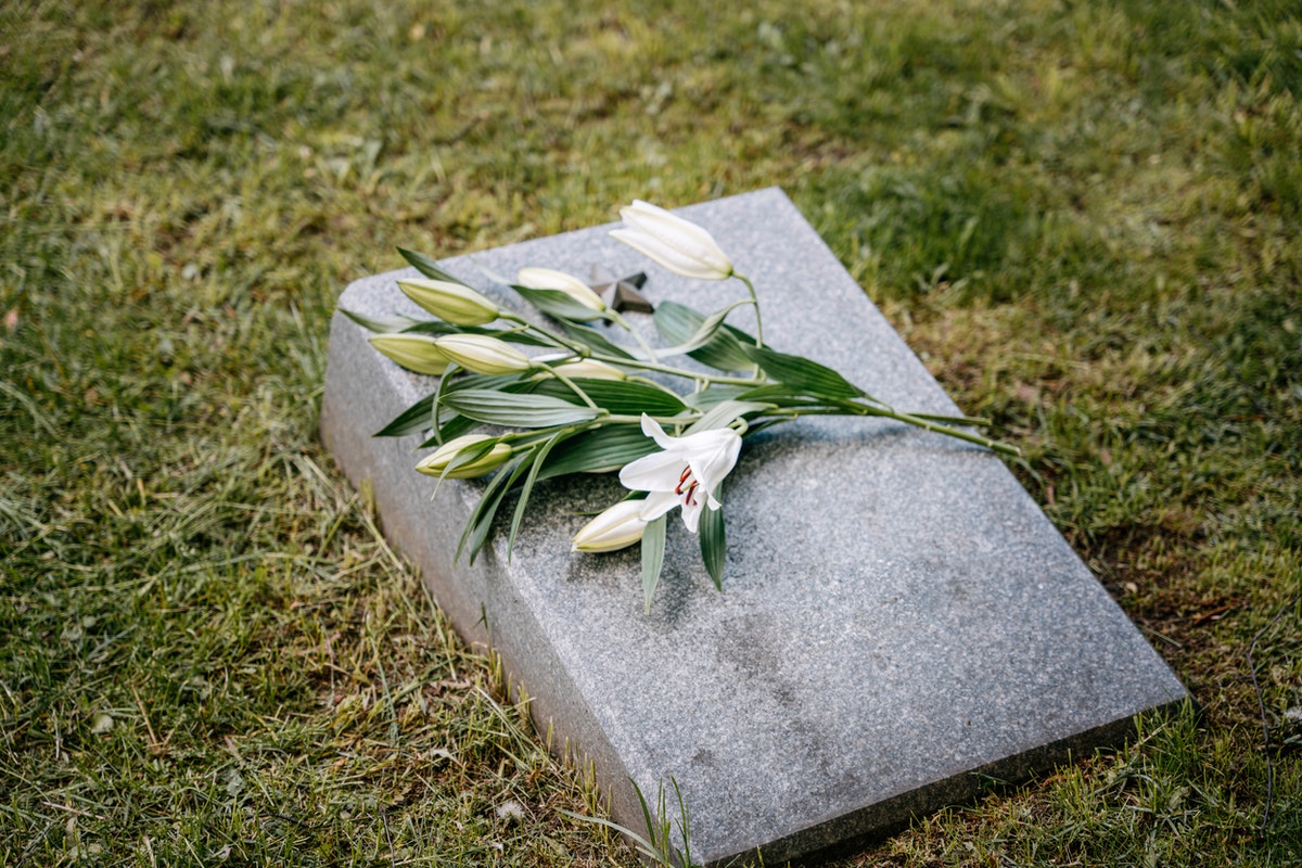 7 Best Memorial WordPress Themes 2025
